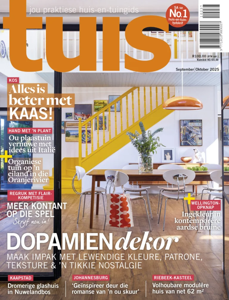 010925 tui 1 768x1006